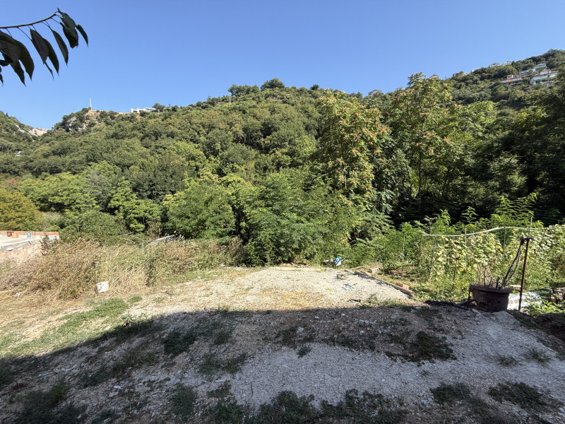 Jeftin plac u Nemiloj (Dubrava) u Herceg Novom