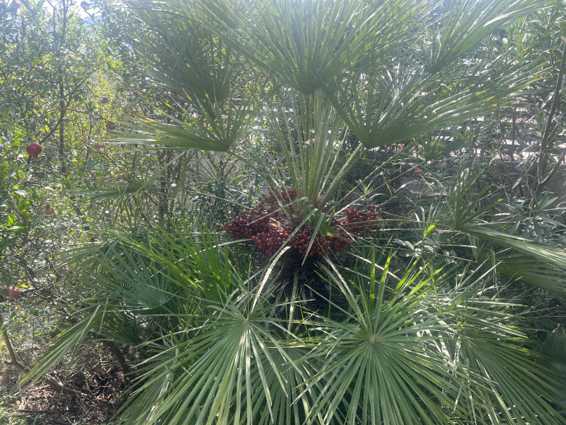 Kuca na Suscepanu sa pogledom na more