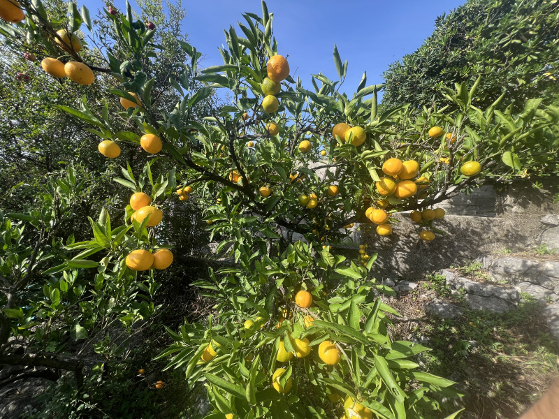 Kuca na Suscepanu sa pogledom na more