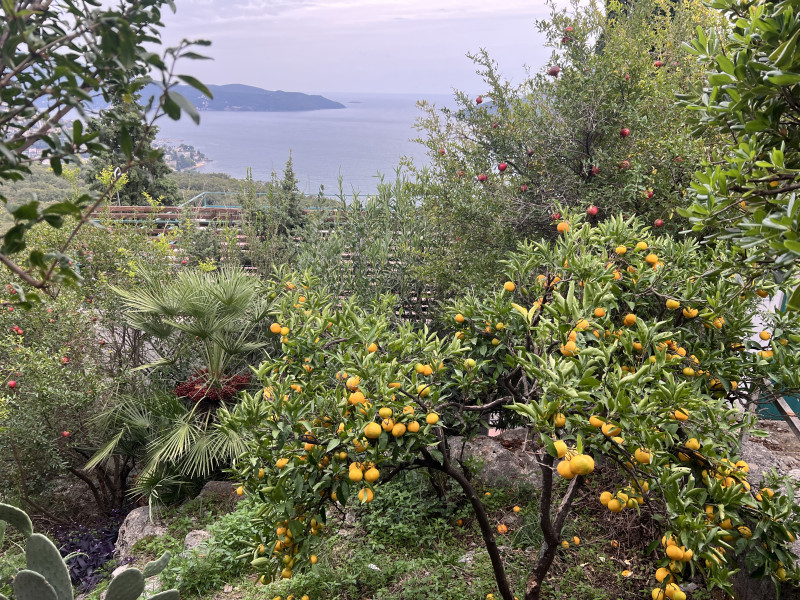 Kuca na Suscepanu sa pogledom na more