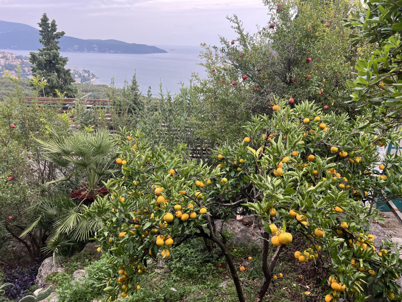 Kuca na Suscepanu sa pogledom na more