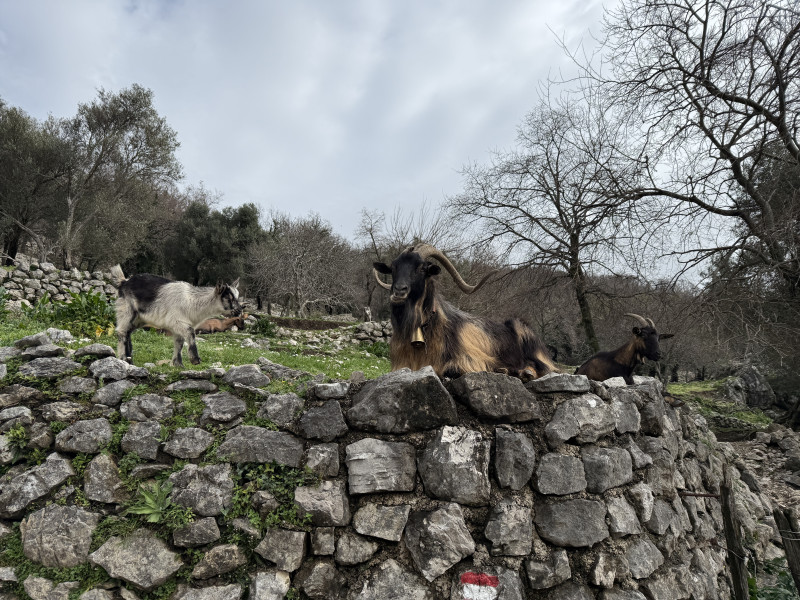 Placevi na Suscepanu po 50 e po m2