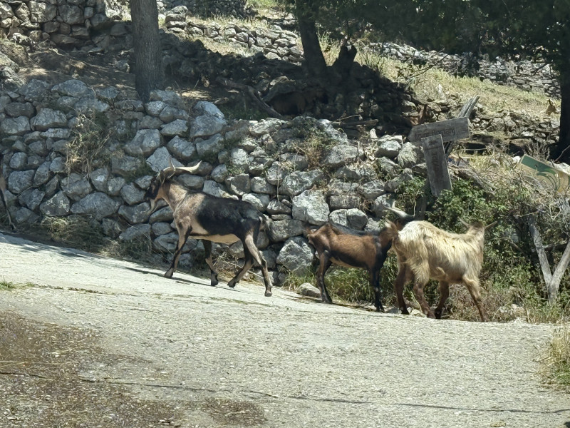 Placevi na Suscepanu po 50 e po m2